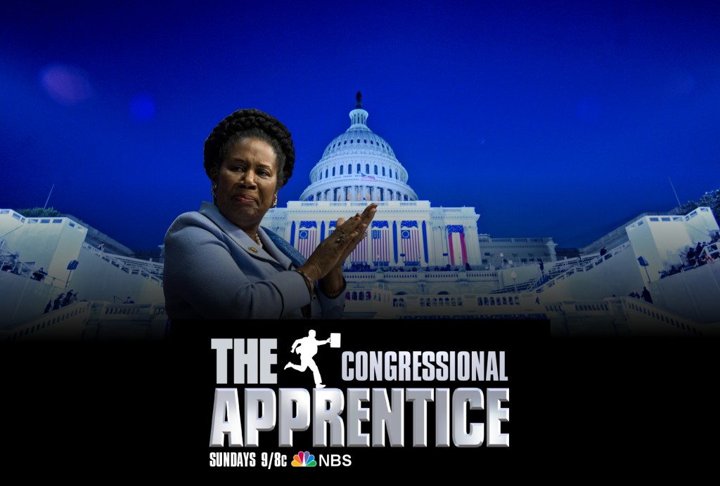 congressional apprentice